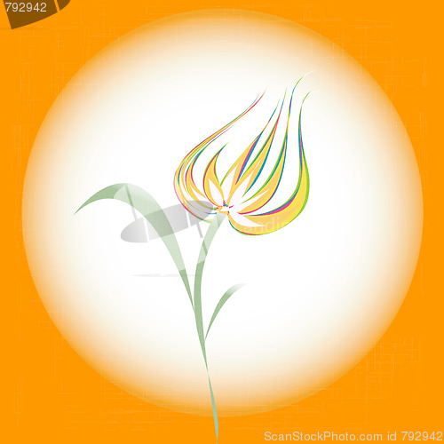 Image of Tulip