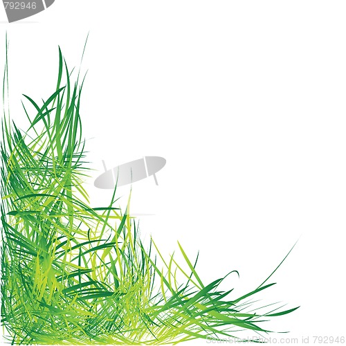 Image of GRASS