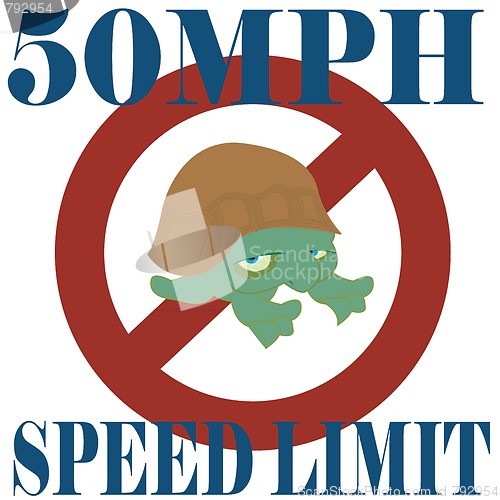 Image of Speed turtle