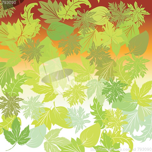 Image of Green leaves background