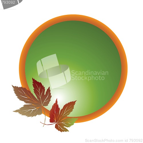 Image of Dry leaves
