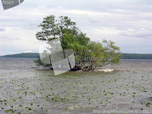 Image of Islet