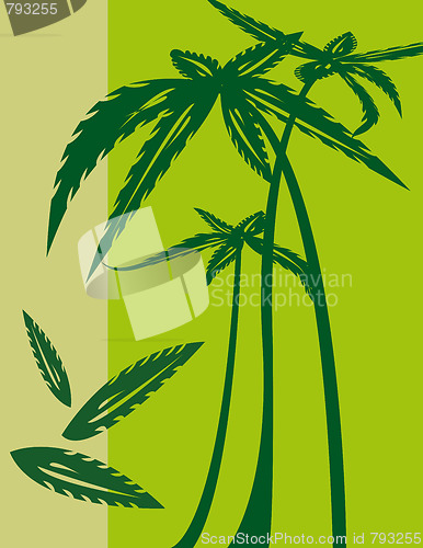 Image of Palm trees