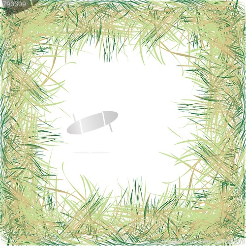 Image of grass frame