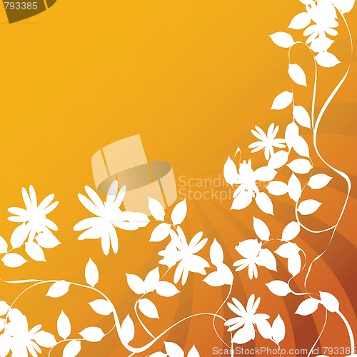 Image of Flower and leaf
