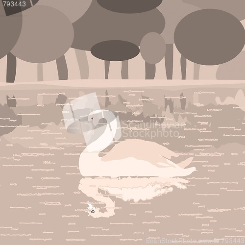 Image of  swan on a lake