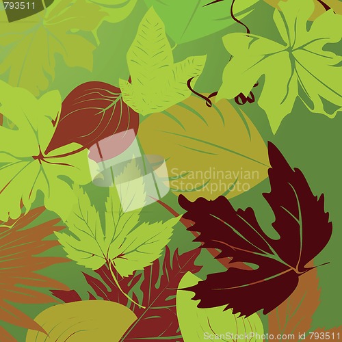 Image of Leaves illustration
