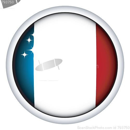 Image of French flag button