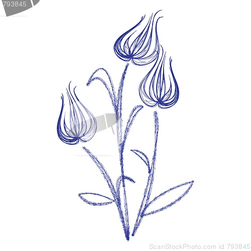 Image of sketch with tulips