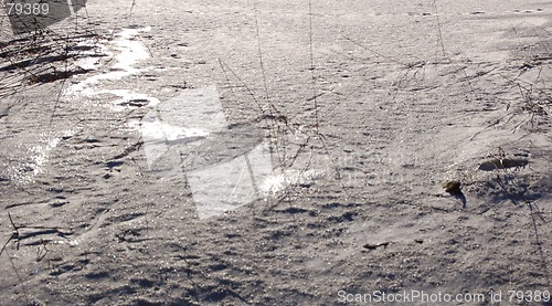 Image of field of snow