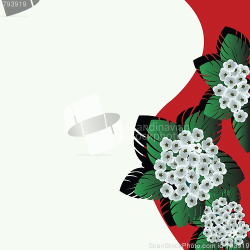 Image of Valentine's Day