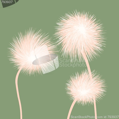 Image of Stylized dandelions