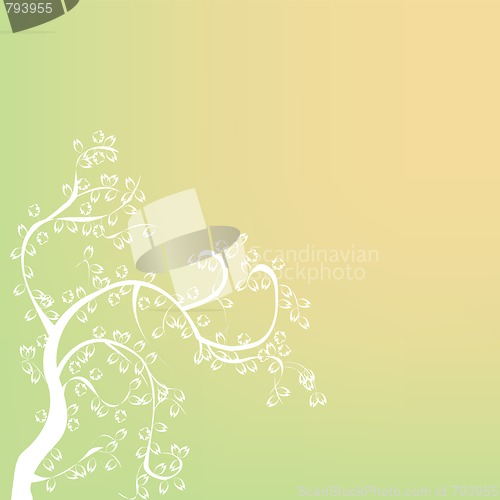 Image of Foliage bagkground