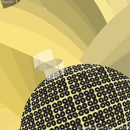 Image of Sun flower