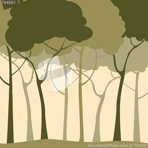 Image of Green forest