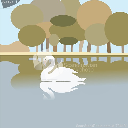 Image of Swan on a lake