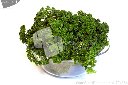 Image of Bunch of parsley