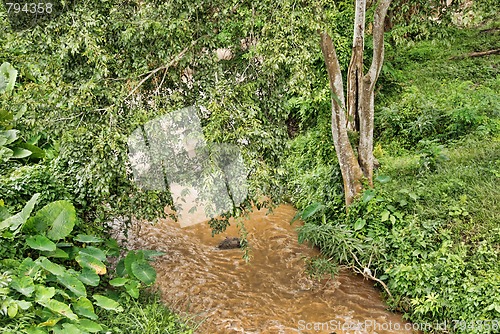 Image of Countryside of Changmai, Thailand