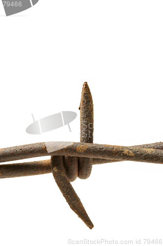 Image of barbed wire macro over white