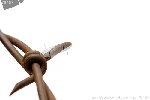 Image of barbed wire macro over white