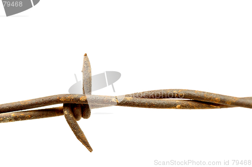 Image of barbed wire macro