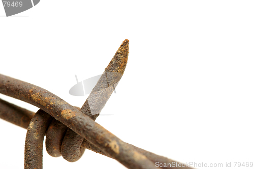 Image of barbed wire macro over white