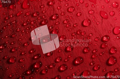 Image of rose petal droplets