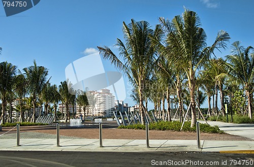 Image of Miami, Florida, on a Hot and Sunny Spring Morning