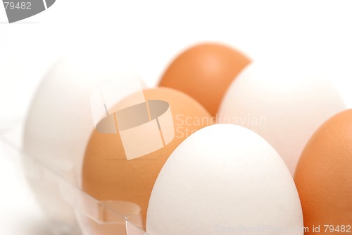 Image of eggs diversity