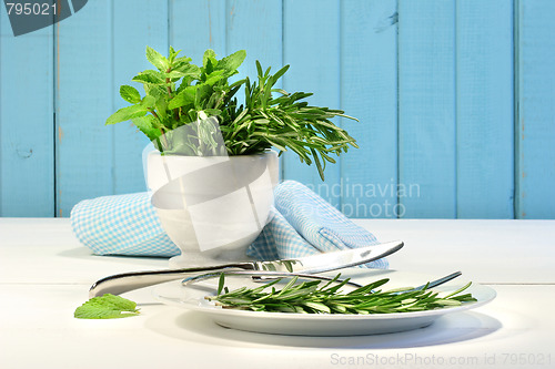 Image of Fresh herbs on the table