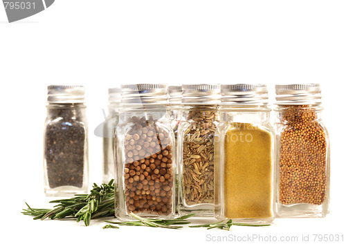 Image of Spice jars with fresh rosmary leaves against white