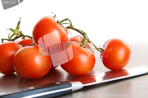 Image of Fresh ripe tomatoes on stainless steel counter