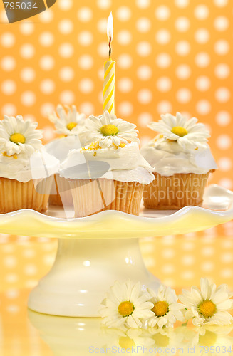 Image of Cupcakes decorated with icing and little daisies