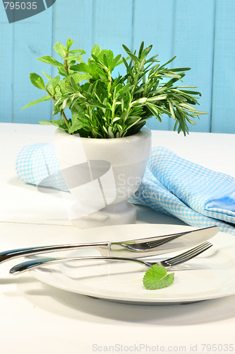 Image of Fresh green herbs on a table