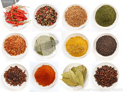 Image of Variety of different spices iin bowls 