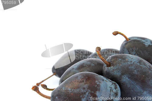Image of Plums