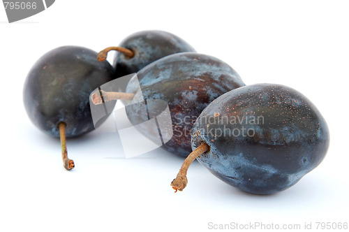Image of Plums