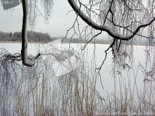Image of Lake in winter 3