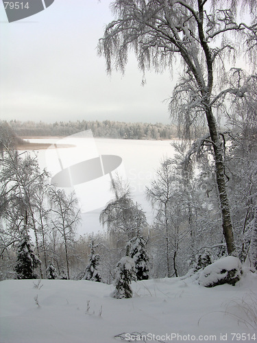 Image of Lake in winter 2