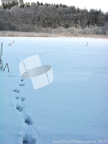 Image of Lake in winter 4