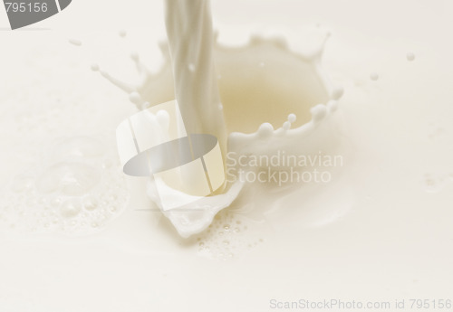 Image of milk splash