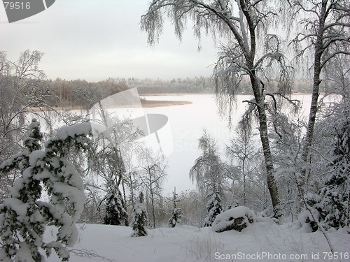 Image of Lake in winter