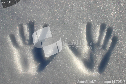 Image of hands in snow