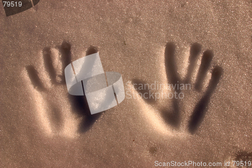 Image of hands in snow