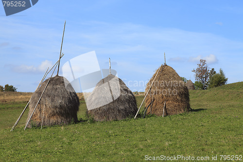 Image of Hayricks in a mountainous area