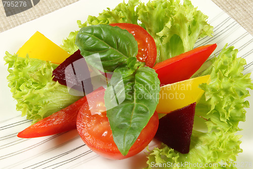 Image of Vegetarian salad