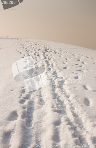 Image of footprints in snow