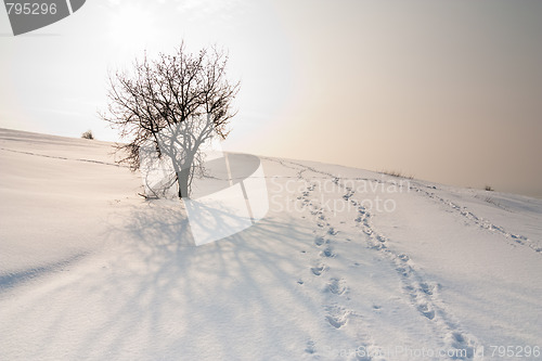 Image of hill covered with snow