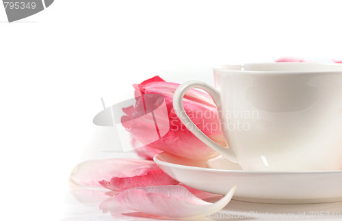 Image of Porcelain teacup with pink tulips on white