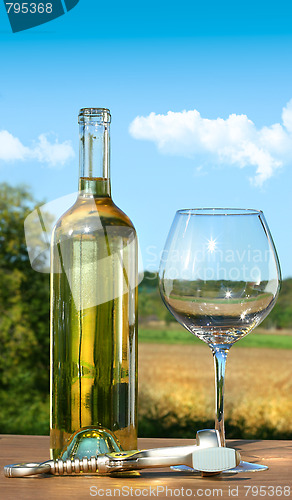 Image of Empty glass with a bottle of white wine 